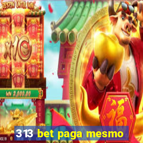 313 bet paga mesmo